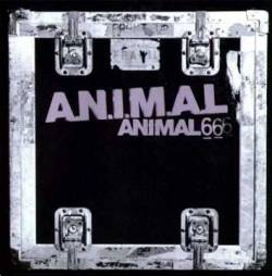 ANIMAL : Animal 6